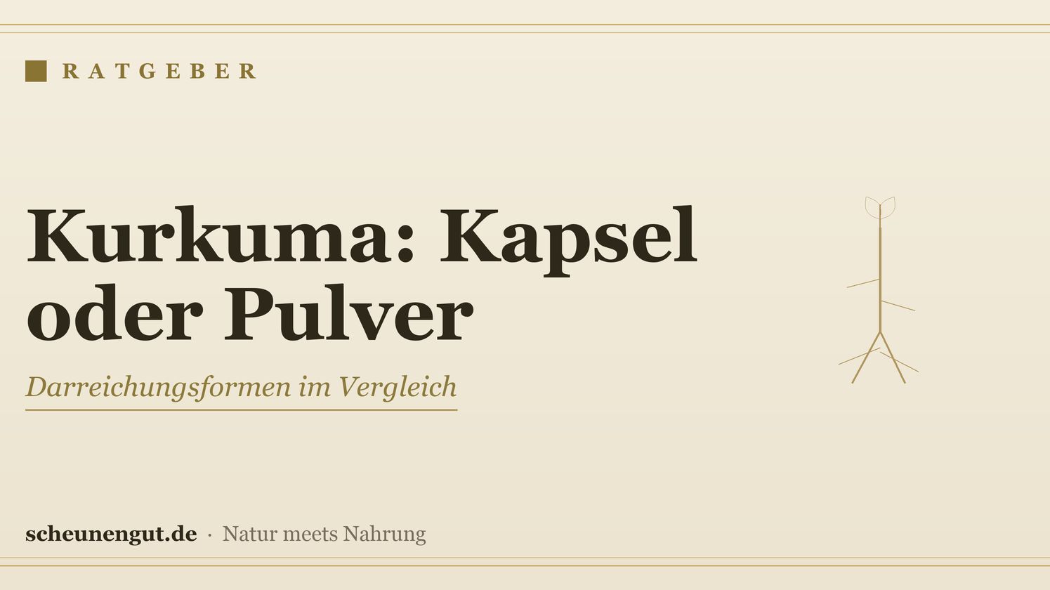 Kurkuma: Kapsel oder Pulver? – Ratgeber von Scheunengut