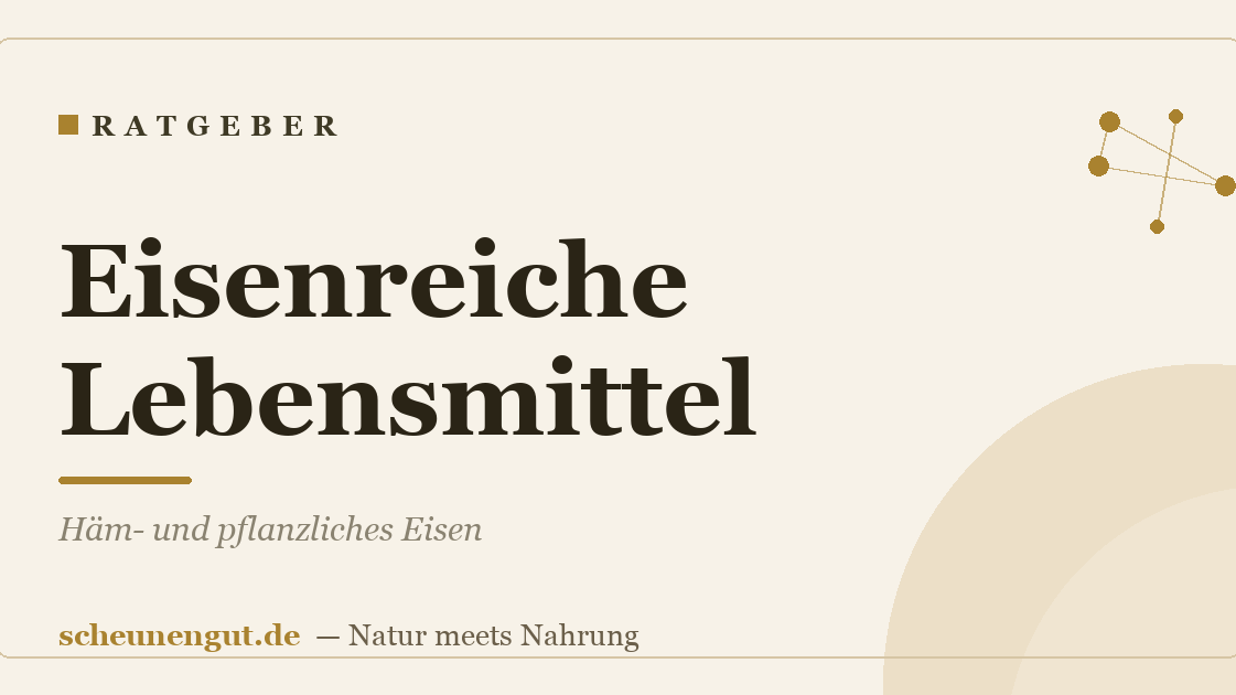 Eisenreiche Lebensmittel: Häm- und pflanzliches Eisen