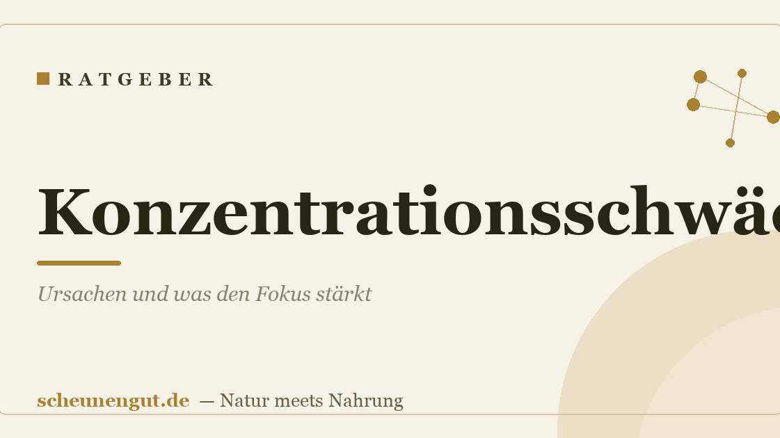 Konzentrationsschwäche: Ursachen und was den Fokus stärkt