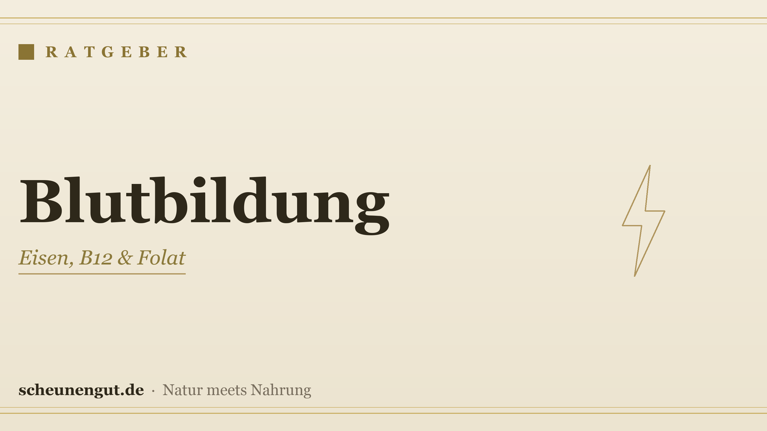 Nährstoffe für die Blutbildung – Ratgeber von Scheunengut