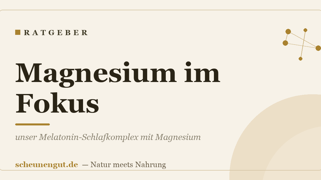Magnesium im Fokus: unser Komplex aus 4 bioaktiven Magnesiumquellen