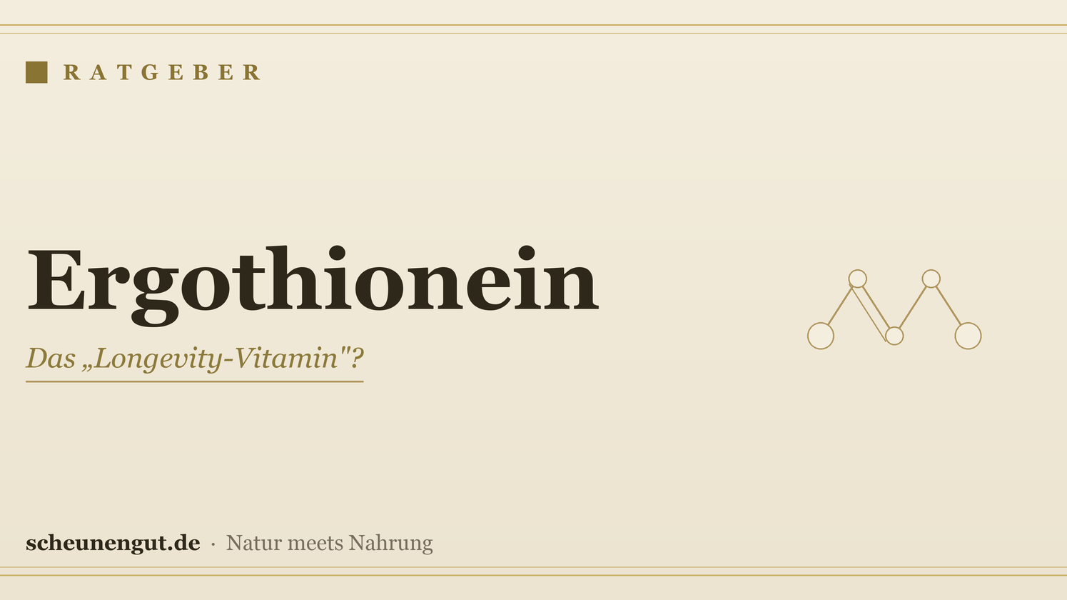 Ergothionein: das Longevity-Vitamin? – Ratgeber von Scheunengut