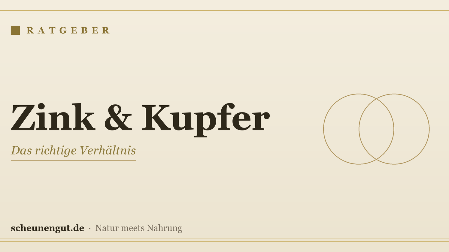 Zink und Kupfer: das richtige Verhältnis – Ratgeber von Scheunengut