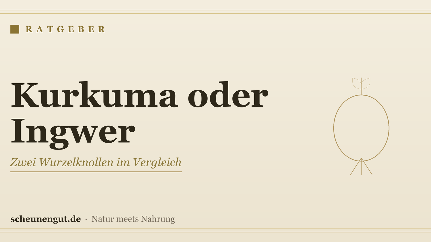 Kurkuma oder Ingwer: Die goldenen Knollen im Vergleich – Ratgeber von Scheunengut