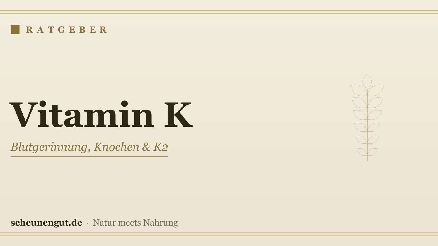 Vitamin K – Ratgeber von Scheunengut