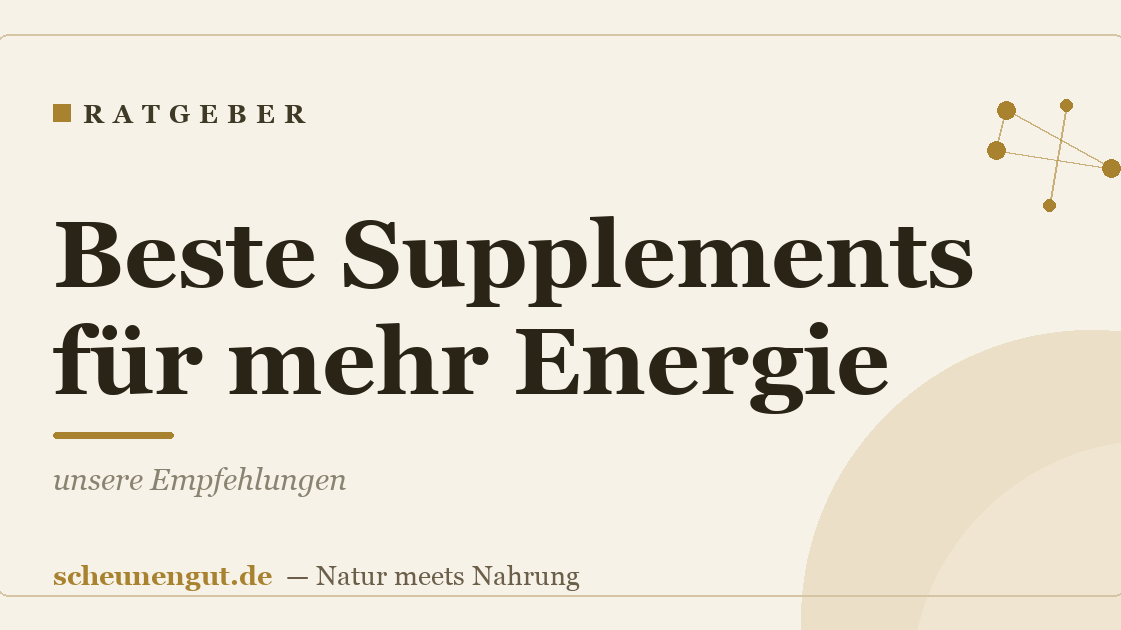 Beste Supplements für mehr Energie: unsere Empfehlungen