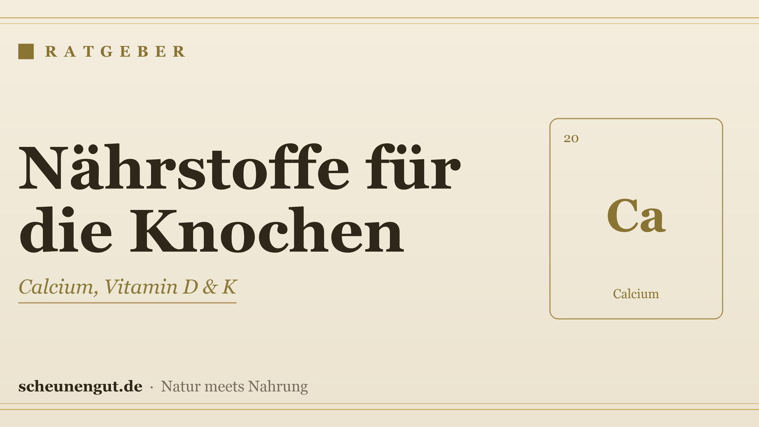 Nährstoffe für starke Knochen – Ratgeber von Scheunengut
