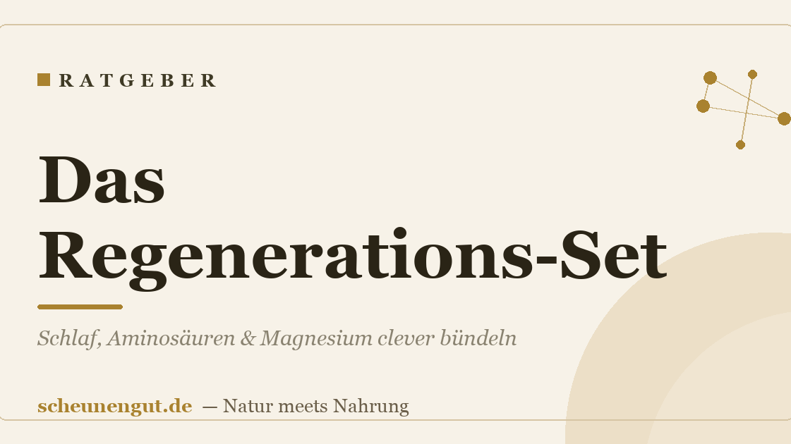 Das Regenerations-Set: Schlaf, Aminosäuren & Magnesium clever bündeln