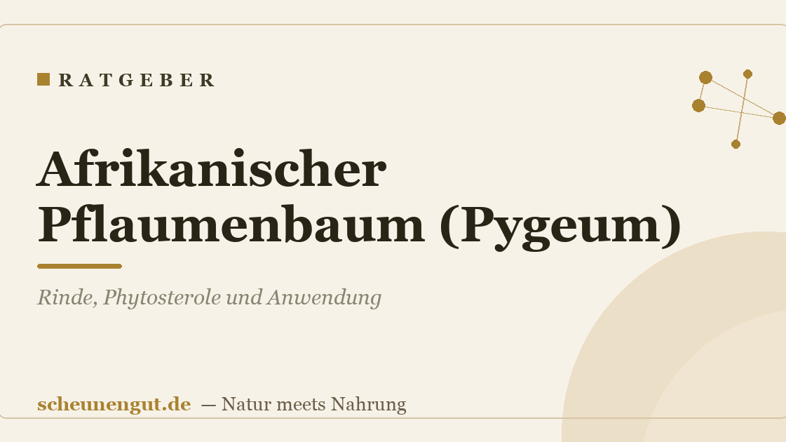 Afrikanischer Pflaumenbaum (Pygeum): Rinde, Phytosterole und Anwendung