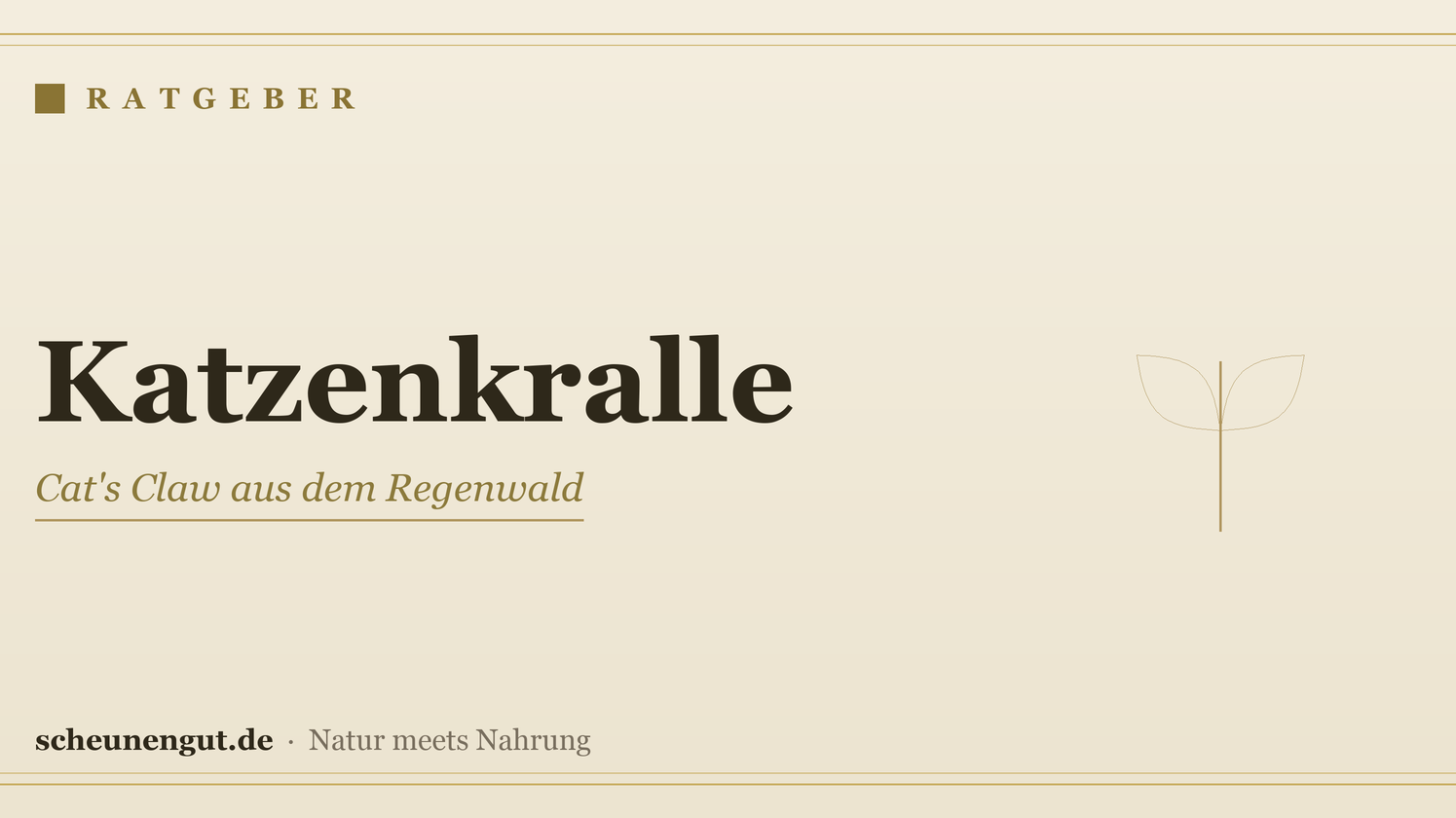 Katzenkralle (Cat's Claw): erklärt – Ratgeber von Scheunengut