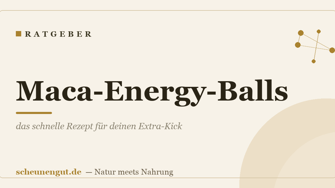 Maca-Energy-Balls: das schnelle Rezept für deinen Extra-Kick