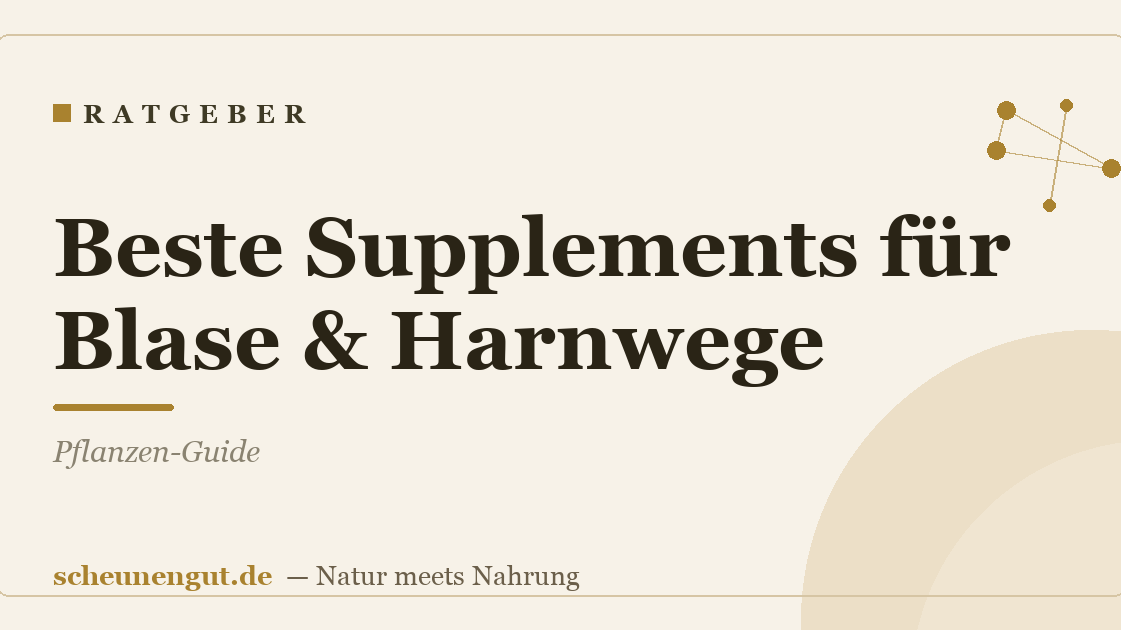 Beste Supplements für Blase & Harnwege: Pflanzen-Guide