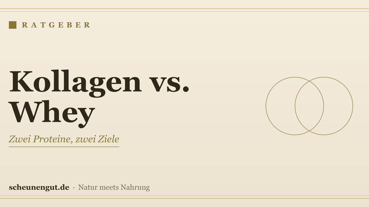 Kollagen oder Whey? Der Vergleich – Ratgeber von Scheunengut