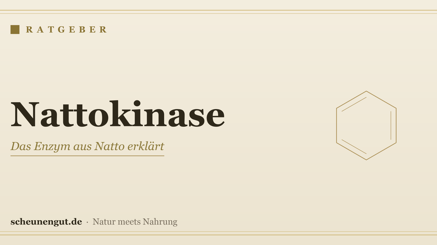 Nattokinase: das Enzym aus Natto einfach erklärt – Ratgeber von Scheunengut