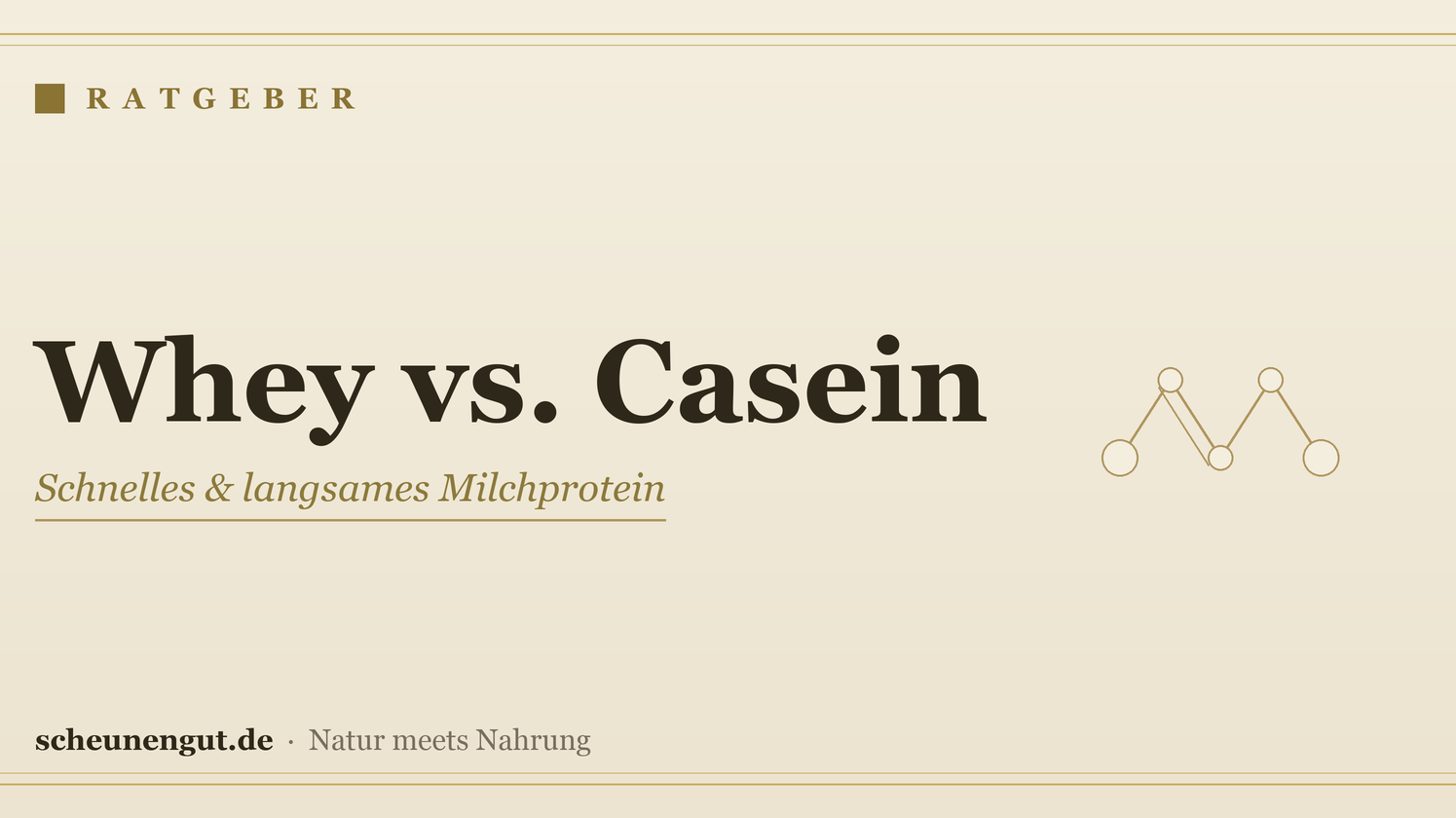 Whey oder Casein? Der Protein-Vergleich – Ratgeber von Scheunengut