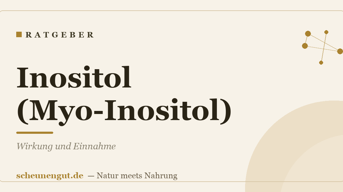 Inositol (Myo-Inositol): Wirkung und Einnahme
