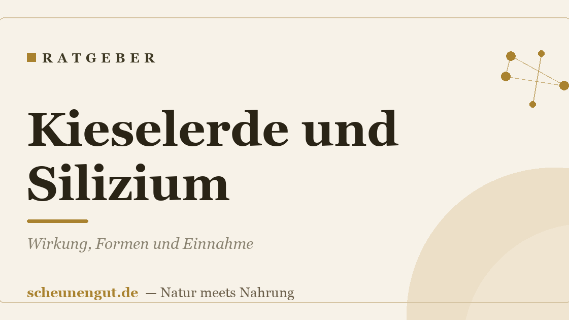 Kieselerde und Silizium: Wirkung, Formen und Einnahme