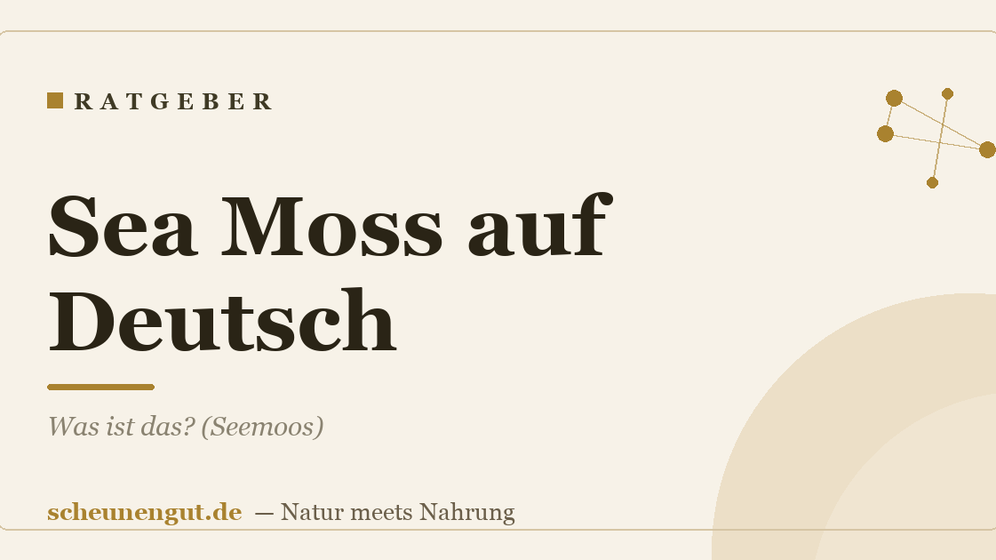 Sea Moss auf Deutsch: Was ist das? (Seemoos)