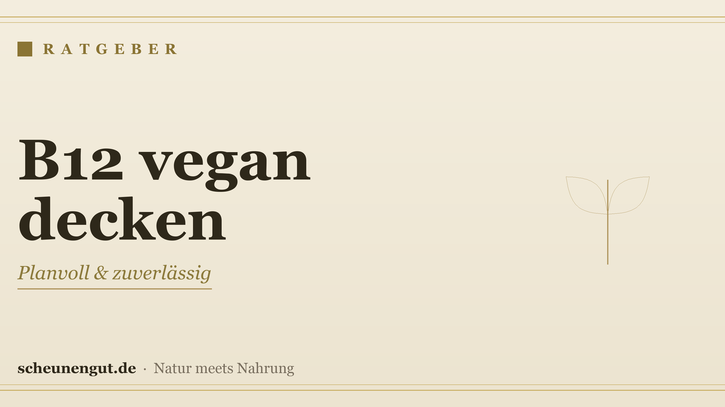 Vitamin B12 bei veganer Ernährung sicher decken – Ratgeber von Scheunengut