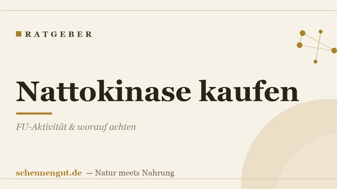 Nattokinase kaufen: FU-Aktivität & worauf achten