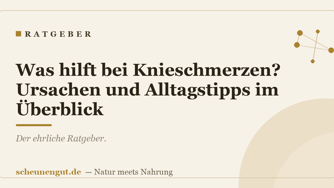 Was hilft bei Knieschmerzen? Ursachen und Alltagstipps im Überblick
