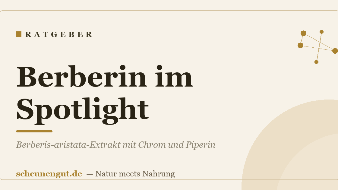 Berberin im Spotlight: Berberis-aristata-Extrakt mit Chrom und Piperin