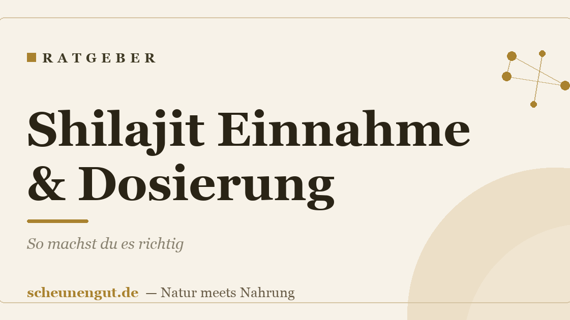 Shilajit Einnahme & Dosierung: So machst du es richtig