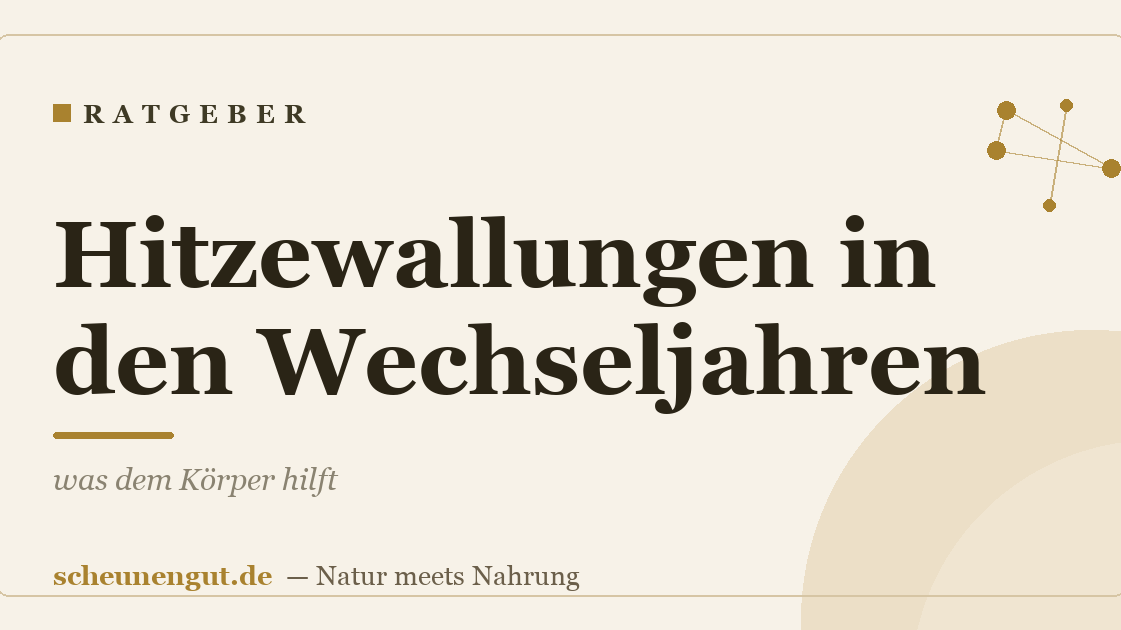 Hitzewallungen in den Wechseljahren – was dem Körper hilft