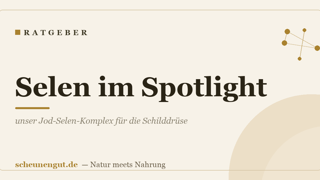 Selen im Spotlight: unser Jod-Selen-Komplex für die Schilddrüse