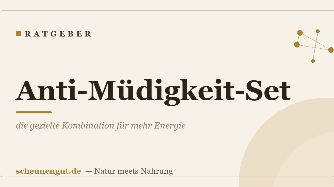 Anti-Müdigkeit-Set: die gezielte Kombination für mehr Energie