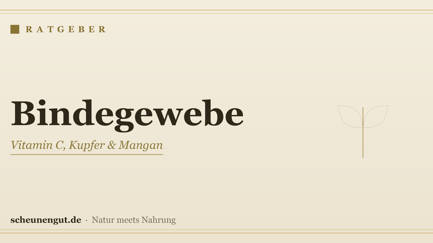 Nährstoffe für das Bindegewebe – Ratgeber von Scheunengut