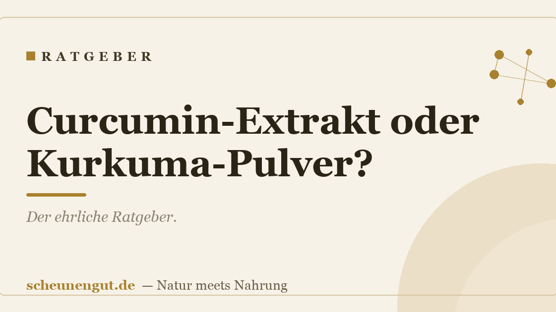 Curcumin-Extrakt oder Kurkuma-Pulver?