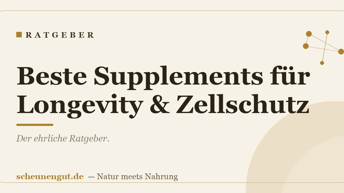 Beste Supplements für Longevity & Zellschutz