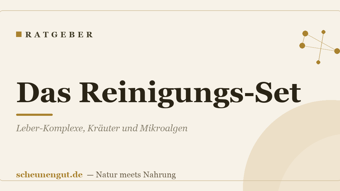 Das Reinigungs-Set: Leber-Komplexe, Kräuter und Mikroalgen
