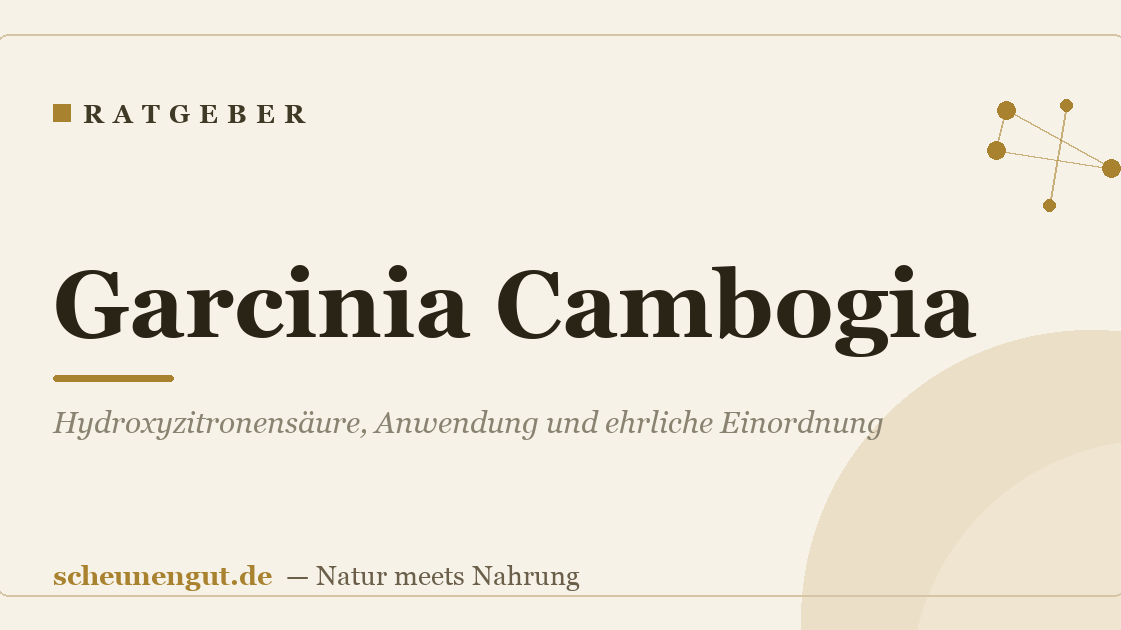 Garcinia Cambogia: Hydroxyzitronensäure, Anwendung und ehrliche Einordnung