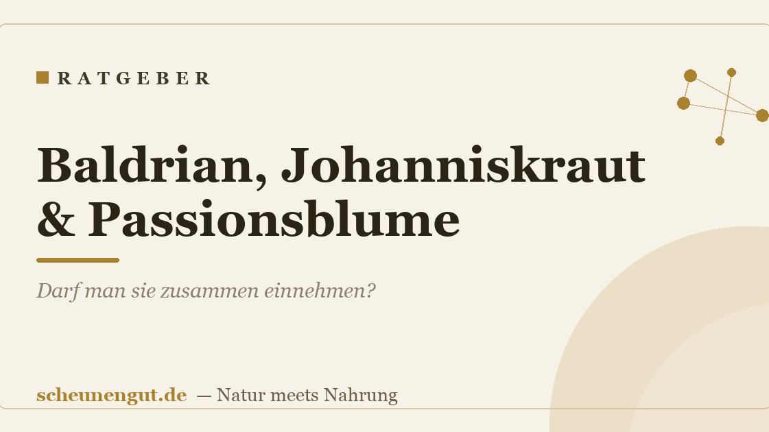 Baldrian, Johanniskraut & Passionsblume: Darf man sie zusammen einnehmen?
