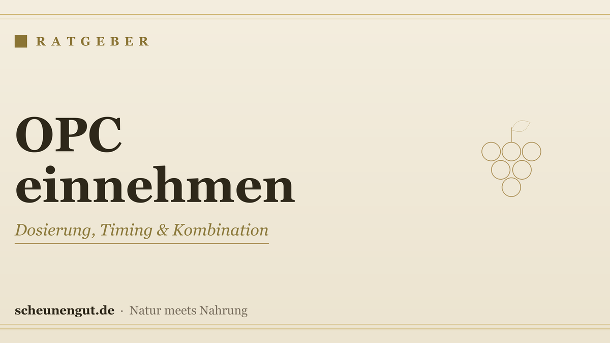 OPC richtig einnehmen & dosieren – Ratgeber von Scheunengut