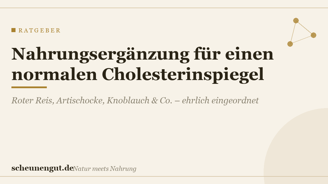 Beste Nahrungsergänzung für einen normalen Cholesterinspiegel