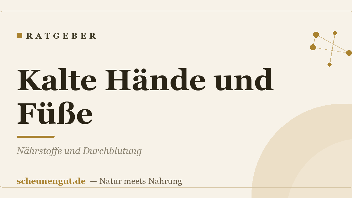 Kalte Hände und Füße: Nährstoffe und Durchblutung