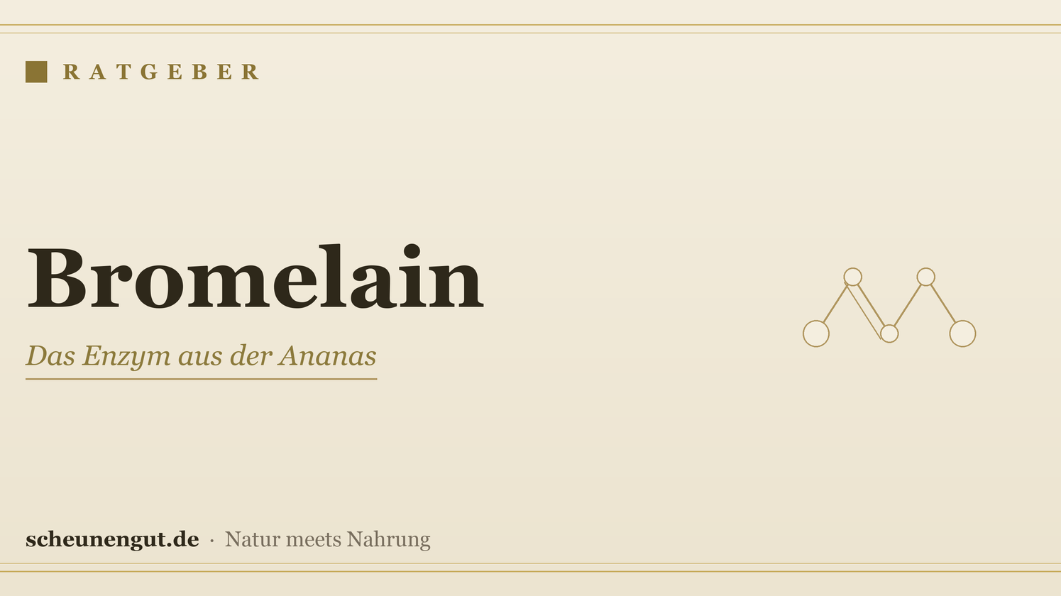 Bromelain – Ratgeber von Scheunengut