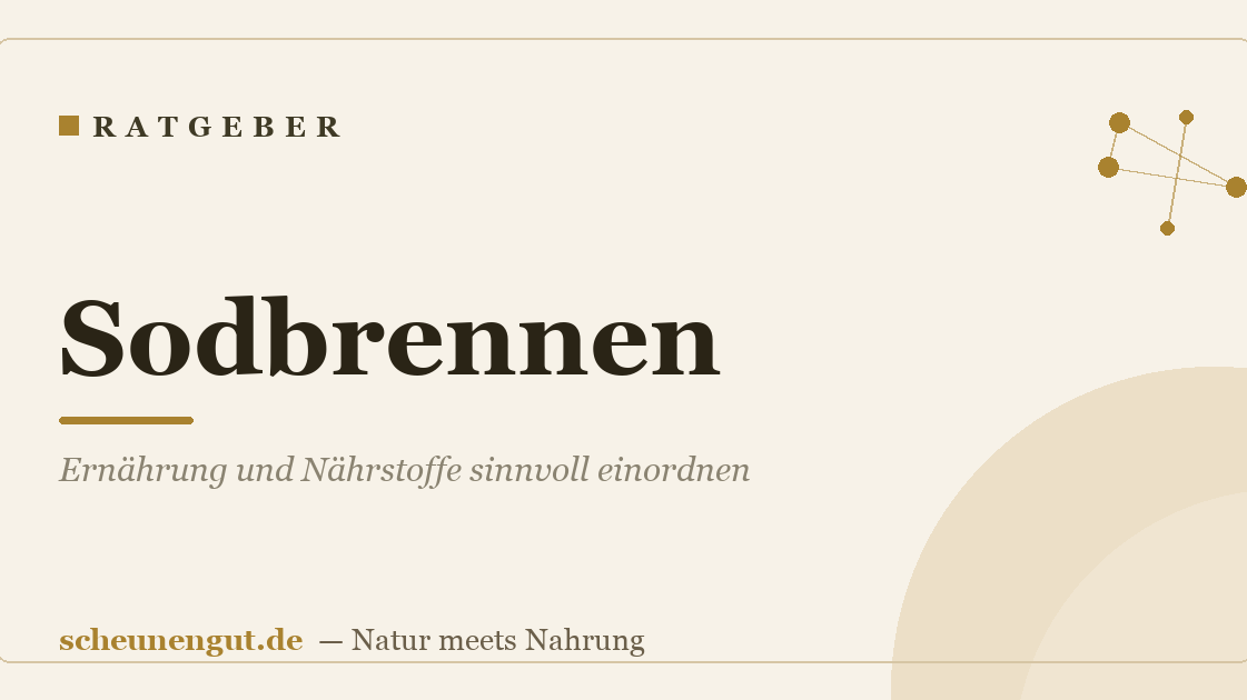 Sodbrennen: Ernährung und Nährstoffe sinnvoll einordnen