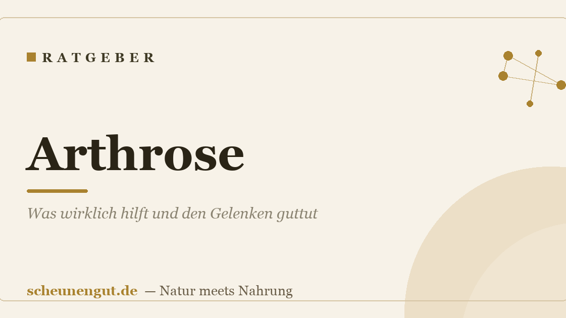 Arthrose: Was wirklich hilft und den Gelenken guttut