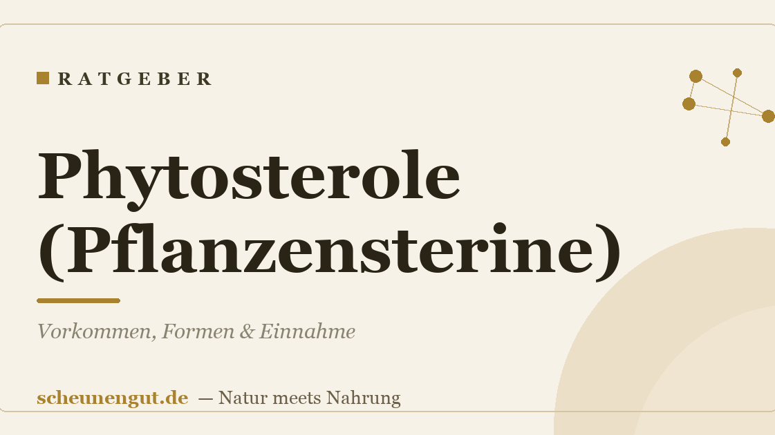 Phytosterole (Pflanzensterine): Vorkommen, Formen & Einnahme