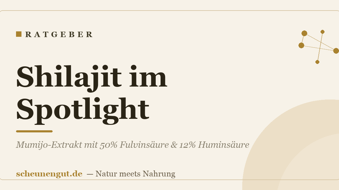 Shilajit im Spotlight: Mumijo-Extrakt mit 50% Fulvinsäure & 12% Huminsäure