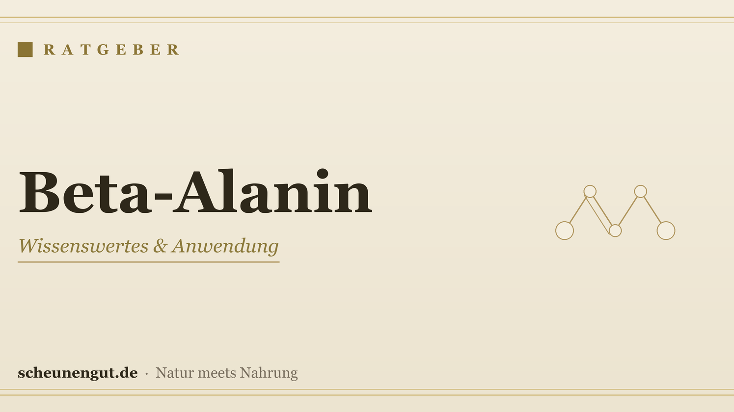 Beta-Alanin: Wissenswertes & Anwendung – Ratgeber von Scheunengut