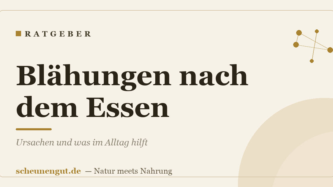 Blähungen nach dem Essen: Ursachen und was im Alltag hilft