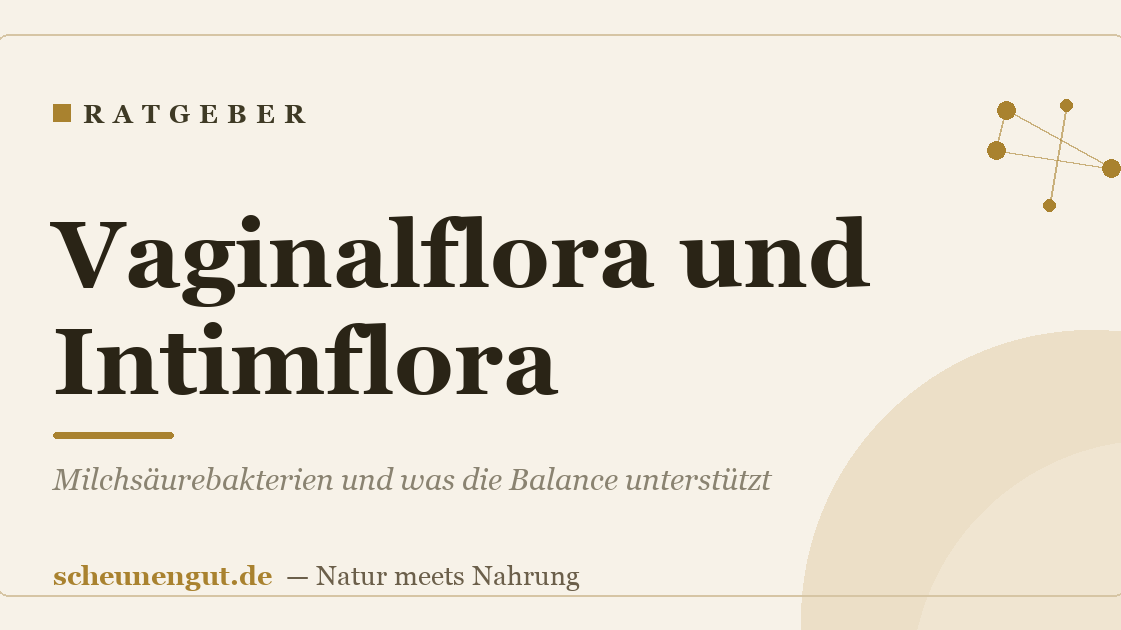Vaginalflora und Intimflora: Milchsäurebakterien und was die Balance unterstützt