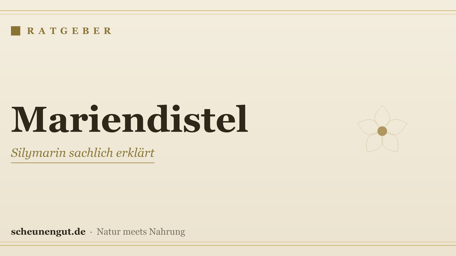 Mariendistel & Silymarin sachlich erklärt – Ratgeber von Scheunengut