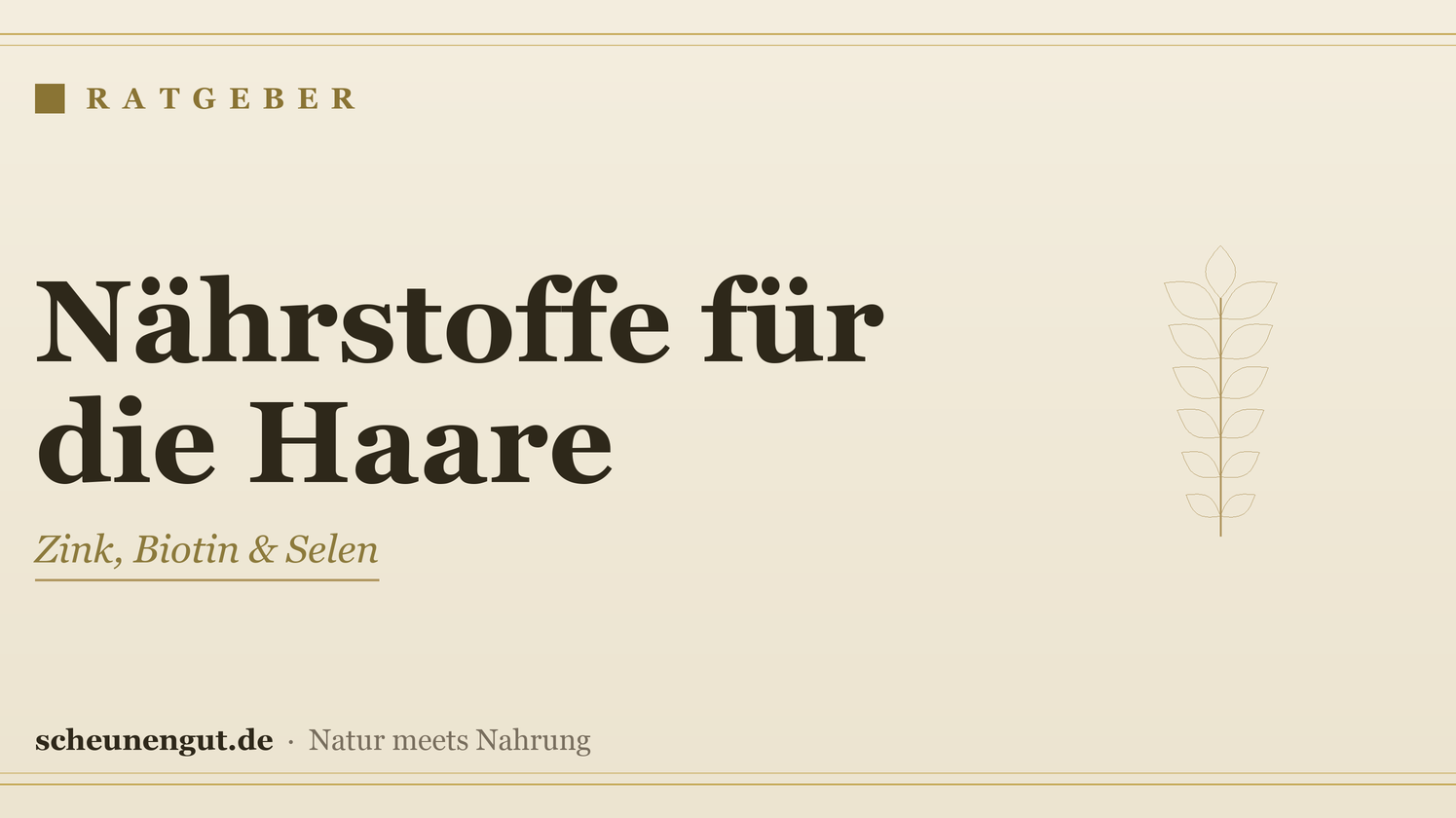 Nährstoffe für kräftiges Haar – Ratgeber von Scheunengut