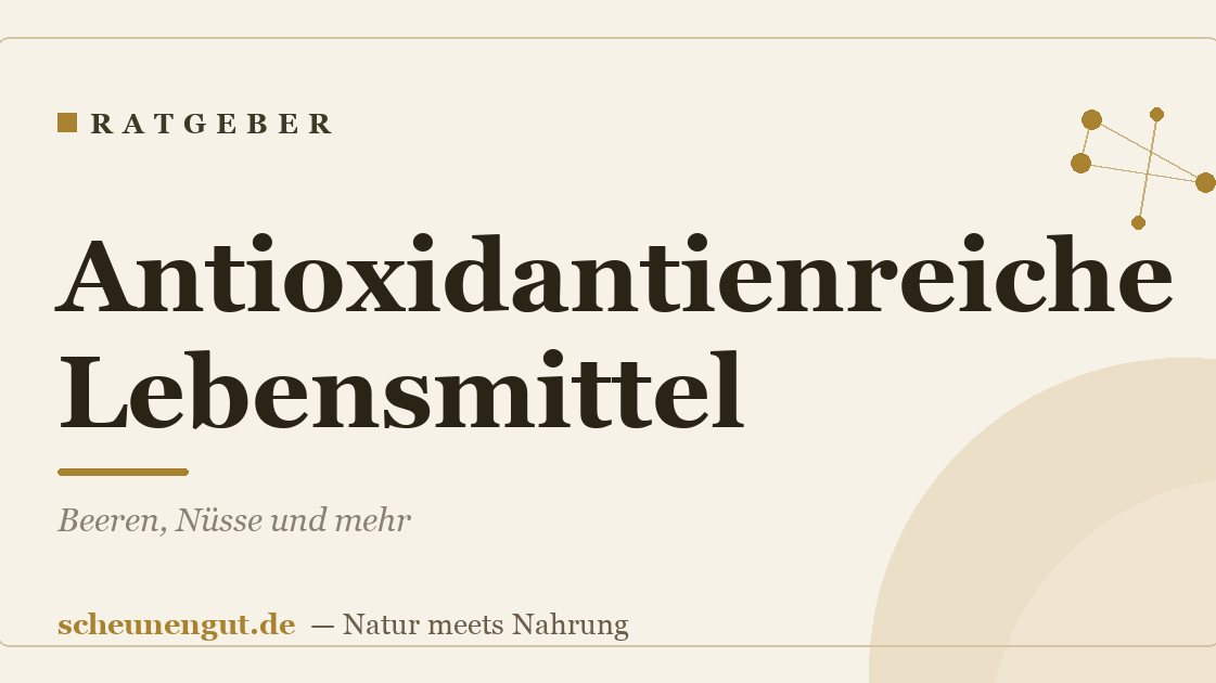 Antioxidantienreiche Lebensmittel: Beeren, Nüsse und mehr